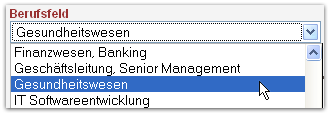 Berufsfeldsuche